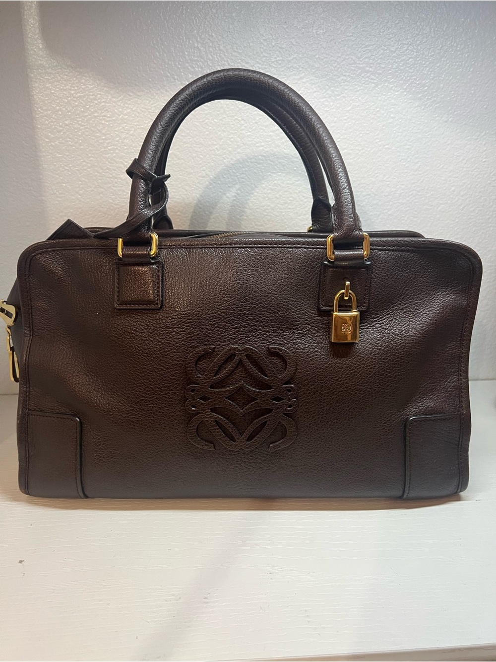 Loewe Amazona Bag